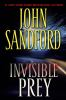 Book cover for "Invisible prey".
