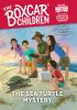 Book cover for "Boxcar children mysteries".