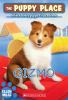 Book cover for "Gizmo".
