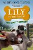Book cover for "The misfit donkey".