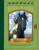 Book cover for "Black Cloud".
