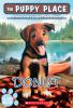 Book cover for "Donut".