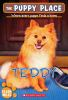 Book cover for "Teddy".