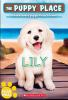 Book cover for "Puppy place".