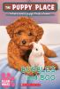 Book cover for "Bubbles and Boo".
