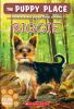 Book cover for "Puppy place".
