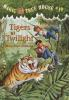 Book cover for "Tigers at twilight".