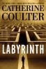 Book cover for "Labyrinth".