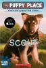 Book cover for "Scout".