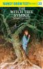 Book cover for "Nancy Drew".