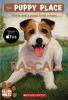 Book cover for "Rascal".