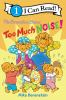 Book cover for "The Berenstain Bears too much noise!".