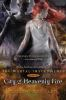 Book cover for "City of heavenly fire".