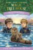 Book cover for "Sea otter sunrise".