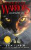 Book cover for "A light in the mist".