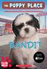 Book cover for "Bandit".