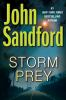 Book cover for "Storm prey".