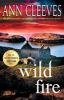 Book cover for "Wild fire".