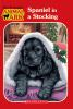 Book cover for "Spaniel in a stocking".