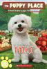 Book cover for "Miki".