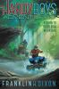 Book cover for "Return to Black Bear Mountain".