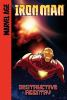 Book cover for "Destructive reentry".