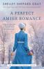 Book cover for "A perfect Amish romance".