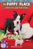 Book cover for "Daisy".