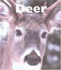 Book cover for "Deer".