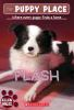 Book cover for "Flash".