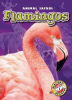 Book cover for "Flamingos".