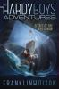 Book cover for "Secret of the Red Arrow".