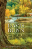 Book cover for "Tranquility Falls".