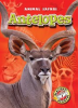 Book cover for "Antelopes".