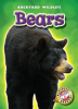 Book cover for "Bears".