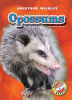 Book cover for "Opossums".