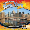 Book cover for "New York".