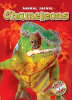 Book cover for "Chameleons".