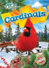 Book cover for "Cardinals".