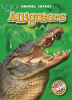 Book cover for "Alligators".