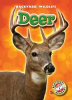Book cover for "Deer".