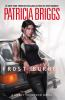 Book cover for "Frost burned".