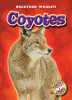 Book cover for "Coyotes".
