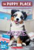 Book cover for "Ozzie".
