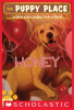 Book cover for "Honey".