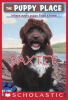 Book cover for "Baxter".