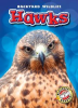 Book cover for "Hawks".