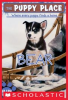 Book cover for "Bear".