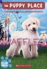 Book cover for "Waffles".