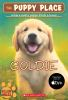 Book cover for "Goldie".